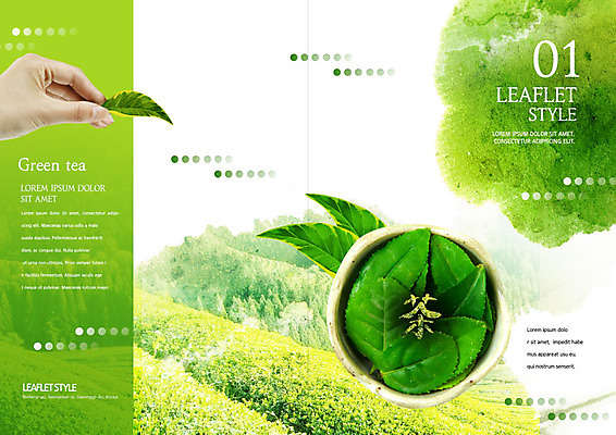 PSD 템플릿 표지디자인 북디자인 손 출판디자인 표지 리플렛 북커버 나뭇잎 들기 사람 팜플렛 신체부위 초록색 차 녹차 녹차밭 녹차잎 말차 이미지템플릿 음료 컬러 잎 밭 모션 차_음료 찻잎 파일형식