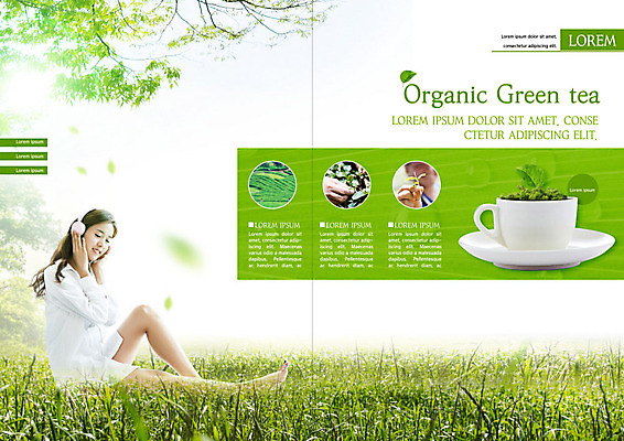 PSD 템플릿 표지디자인 북디자인 출판디자인 여자 내지 리플렛 북커버 나뭇잎 한명 사람 팜플렛 잔디 20대 성인 초록색 한국인 차 녹차 힐링 말차 성인여자한명만 이미지템플릿 식물 1 음료 컬러 잎 동양인 청년 차_음료 여자한명만 성인여자만 파일형식