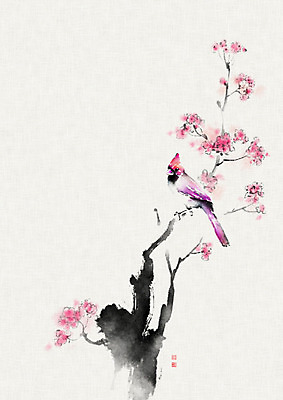 PSD 한마리 꽃 일러스트 캘리그라피 자연 조류 붓터치 앉기 사람없음 나뭇가지 한지 번짐 낙관 화조화 국내일러스트 나무 식물 동물 1 종이 모션 동양화 생태계 파일형식 효과