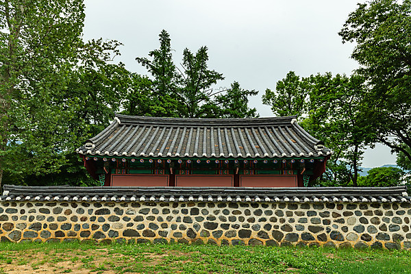 포토 JPG 주간 나무 여행 한국 풍경 사람없음 야외 여름 관광지 여름풍경 문화재 국내여행 명승지 역사탐방 영월 기와담장 민충사 국내포토 자연요소 식물 계절 아시아 기와 담장 역사 강원도 사당 탐방 파일형식 여름_계절