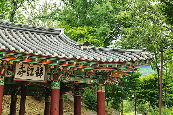 포토 JPG 주간 나무 여행 한국 풍경 사람없음 야외 여름 관광지 여름풍경 문화재 국내여행 명승지 역사탐방 영월 금강정 국내포토 자연요소 식물 계절 아시아 역사 정자_건축물 강원도 탐방 파일형식 여름_계절