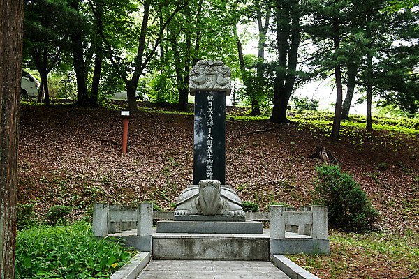 포토 JPG 주간 나무 여행 한국 풍경 사람없음 야외 여름 관광지 여름풍경 문화재 비석 국내여행 명승지 역사탐방 영월 국내포토 자연요소 식물 계절 아시아 역사 강원도 탐방 파일형식 여름_계절