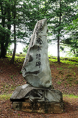 포토 JPG 주간 나무 여행 한국 풍경 사람없음 야외 여름 관광지 여름풍경 문화재 국내여행 명승지 역사탐방 영월 난고시비 국내포토 자연요소 식물 계절 아시아 역사 비석 강원도 탐방 파일형식 여름_계절