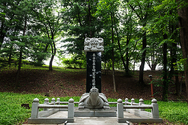 포토 JPG 주간 나무 여행 한국 풍경 사람없음 야외 여름 관광지 여름풍경 문화재 국내여행 명승지 역사탐방 영월 의사전재규연구원추모비 국내포토 자연요소 식물 계절 아시아 역사 비석 강원도 탐방 파일형식 여름_계절