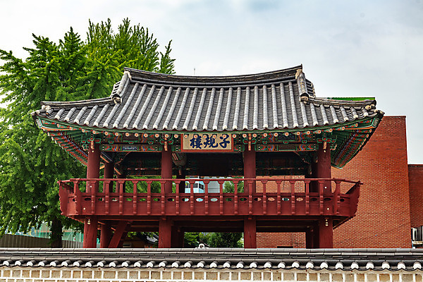 포토 JPG 주간 나무 여행 한국 풍경 사람없음 야외 여름 관광지 여름풍경 문화재 국내여행 명승지 역사탐방 영월 관풍헌 자규루 국내포토 자연요소 식물 계절 아시아 역사 강원도 탐방 누각 파일형식 여름_계절