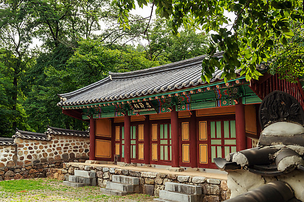 포토 JPG 주간 나무 여행 한국 풍경 사람없음 야외 여름 관광지 여름풍경 문화재 국내여행 명승지 역사탐방 영월 영모전 영월충절사 국내포토 자연요소 식물 계절 아시아 역사 강원도 사당 탐방 파일형식 여름_계절