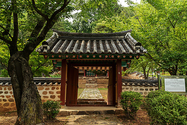 포토 JPG 주간 나무 여행 한국 풍경 사람없음 야외 여름 관광지 여름풍경 문화재 국내여행 명승지 역사탐방 영월 영모전 국내포토 자연요소 식물 계절 아시아 역사 강원도 탐방 파일형식 여름_계절