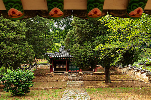 포토 JPG 주간 나무 여행 한국 단청문양 풍경 사람없음 야외 여름 관광지 여름풍경 문화재 국내여행 명승지 역사탐방 영월 영모전 국내포토 자연요소 식물 문양 계절 아시아 역사 단청 강원도 탐방 파일형식 여름_계절