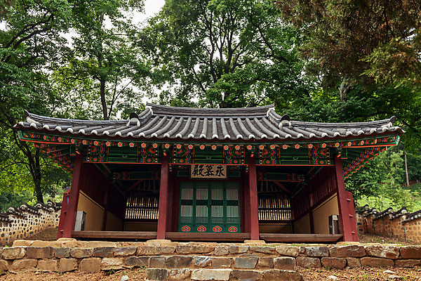 포토 JPG 주간 나무 여행 한국 풍경 사람없음 야외 여름 관광지 여름풍경 문화재 국내여행 명승지 역사탐방 영월 영모전 국내포토 자연요소 식물 계절 아시아 역사 강원도 탐방 파일형식 여름_계절