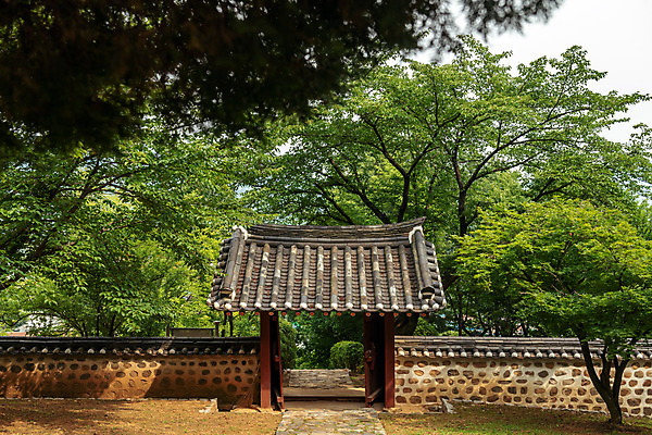 포토 JPG 주간 나무 여행 한국 풍경 사람없음 야외 여름 관광지 여름풍경 문화재 국내여행 명승지 역사탐방 영월 영모전 국내포토 자연요소 식물 계절 아시아 역사 강원도 탐방 파일형식 여름_계절