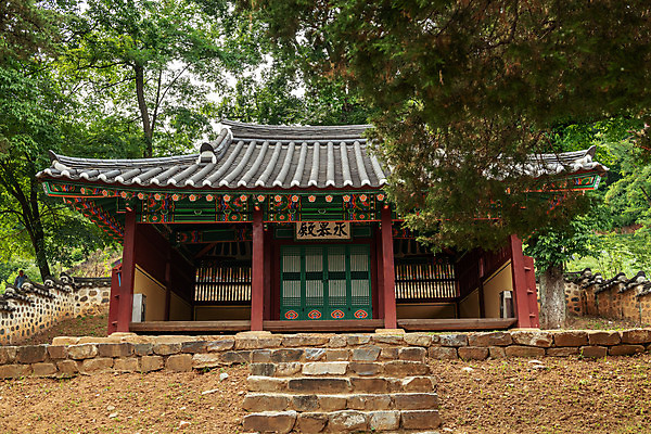 포토 JPG 주간 나무 여행 한국 풍경 사람없음 야외 여름 관광지 여름풍경 문화재 국내여행 명승지 역사탐방 영월 영모전 국내포토 자연요소 식물 계절 아시아 역사 강원도 탐방 파일형식 여름_계절