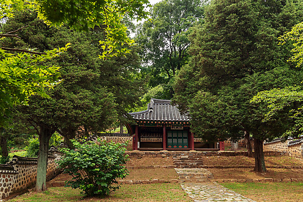 포토 JPG 주간 나무 여행 한국 풍경 사람없음 야외 여름 관광지 여름풍경 문화재 국내여행 명승지 역사탐방 영월 영모전 국내포토 자연요소 식물 계절 아시아 역사 강원도 탐방 파일형식 여름_계절