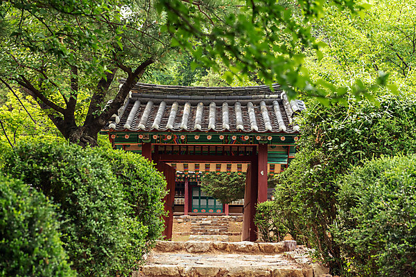 포토 JPG 주간 나무 여행 한국 풍경 사람없음 야외 여름 관광지 여름풍경 문화재 국내여행 명승지 역사탐방 영월 영모전 국내포토 자연요소 식물 계절 아시아 역사 강원도 탐방 파일형식 여름_계절