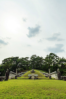 포토 JPG 주간 나무 여행 하늘 한국 풍경 사람없음 야외 여름 관광지 여름풍경 문화재 국내여행 명승지 역사탐방 영월 조선왕릉 영월장릉 국내포토 자연요소 식물 계절 아시아 역사 강원도 왕릉 탐방 파일형식 여름_계절