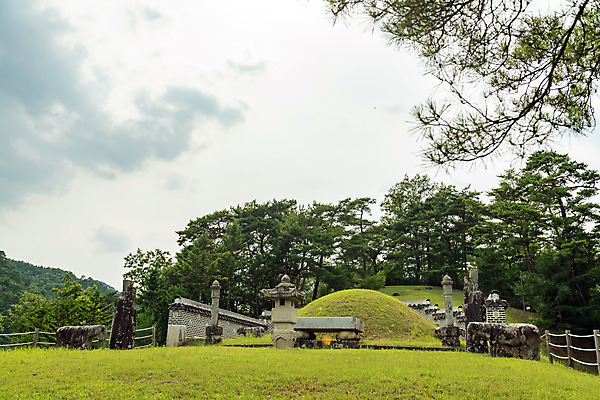 포토 JPG 주간 나무 여행 하늘 한국 풍경 사람없음 야외 여름 관광지 여름풍경 문화재 국내여행 명승지 역사탐방 영월 조선왕릉 영월장릉 국내포토 자연요소 식물 계절 아시아 역사 강원도 왕릉 탐방 파일형식 여름_계절