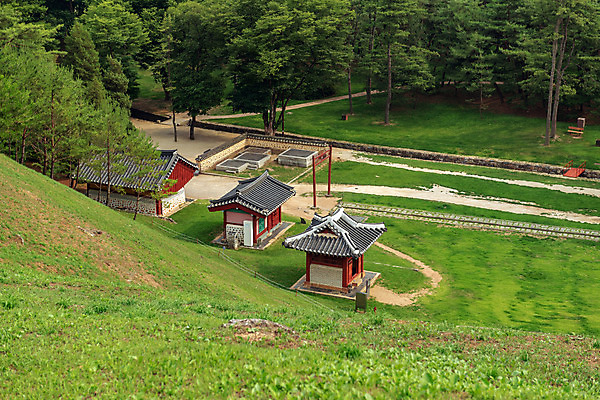 포토 JPG 주간 나무 여행 한국 풍경 사람없음 야외 여름 관광지 여름풍경 문화재 국내여행 명승지 역사탐방 영월 영월장릉 국내포토 자연요소 식물 계절 아시아 역사 강원도 왕릉 탐방 파일형식 여름_계절