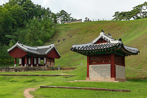포토 JPG 주간 나무 여행 한국 풍경 사람없음 야외 여름 관광지 여름풍경 문화재 국내여행 명승지 비각 역사탐방 영월 정자각 영월장릉 국내포토 자연요소 식물 계절 아시아 역사 강원도 왕릉 탐방 파일형식 여름_계절