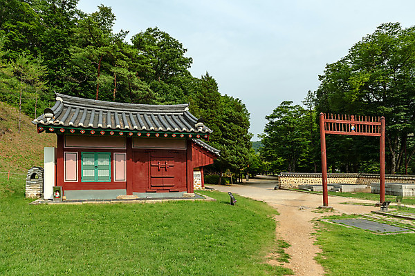 포토 JPG 주간 나무 여행 한국 풍경 사람없음 야외 여름 관광지 여름풍경 문화재 국내여행 명승지 역사탐방 영월 홍살문 수복방 영월장릉 국내포토 자연요소 식물 계절 아시아 역사 강원도 전통문 왕릉 탐방 파일형식 여름_계절