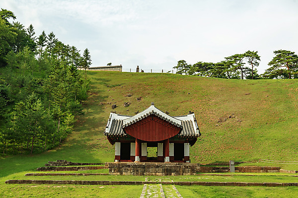 포토 JPG 주간 나무 여행 하늘 한국 풍경 사람없음 야외 여름 관광지 여름풍경 문화재 국내여행 명승지 역사탐방 영월 정자각 영월장릉 국내포토 자연요소 식물 계절 아시아 역사 강원도 왕릉 탐방 파일형식 여름_계절