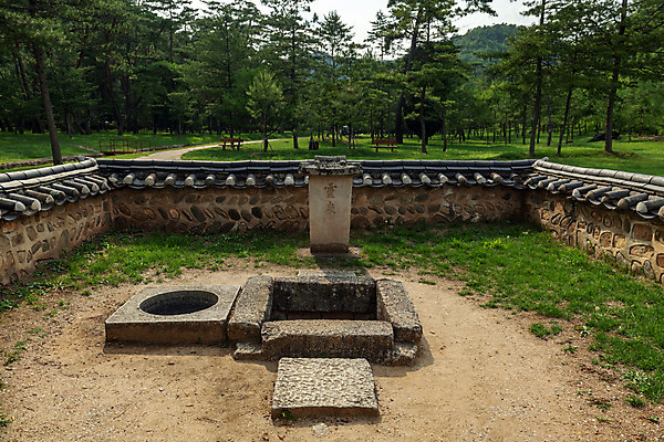 포토 JPG 주간 나무 여행 한국 풍경 사람없음 야외 여름 관광지 여름풍경 문화재 우물 국내여행 명승지 역사탐방 영월 영월장릉 국내포토 자연요소 식물 계절 아시아 역사 강원도 왕릉 탐방 파일형식 여름_계절