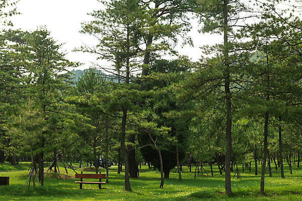 포토 JPG 주간 나무 여행 벤치 한국 풍경 사람없음 야외 여름 관광지 여름풍경 문화재 국내여행 명승지 역사탐방 영월 영월장릉 국내포토 자연요소 식물 계절 아시아 의자 역사 강원도 왕릉 탐방 파일형식 여름_계절
