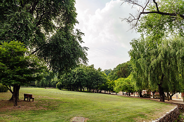 포토 JPG 주간 나무 여행 하늘 한국 풍경 사람없음 야외 여름 관광지 여름풍경 문화재 국내여행 명승지 역사탐방 영월 영월장릉 국내포토 자연요소 식물 계절 아시아 역사 강원도 왕릉 탐방 파일형식 여름_계절