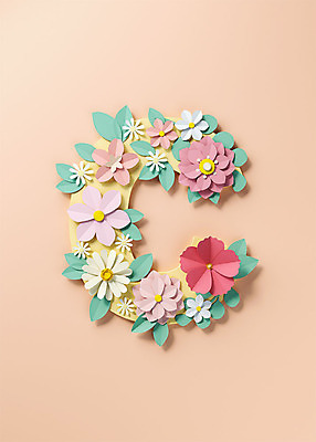 PSD 편집이미지 알파벳 영어 꽃 백그라운드 잎 대문자 타이포그라피 사람없음 3D소스 3D 페이퍼아트 디지털합성 오브젝트 C 살구색 편집소스 편집3D 식물 문자 컬러 파일형식