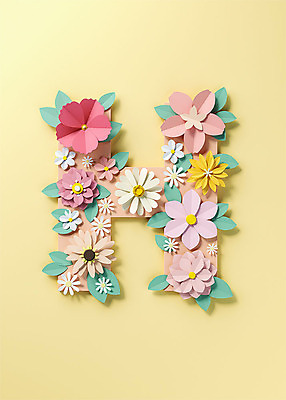 PSD 편집이미지 알파벳 영어 꽃 백그라운드 잎 대문자 타이포그라피 사람없음 노란색 3D소스 3D 페이퍼아트 디지털합성 오브젝트 H 편집소스 편집3D 식물 문자 컬러 파일형식