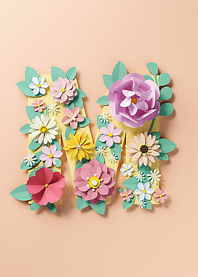 PSD 편집이미지 알파벳 영어 꽃 백그라운드 잎 대문자 타이포그라피 사람없음 3D소스 3D 페이퍼아트 디지털합성 오브젝트 M 살구색 편집소스 편집3D 식물 문자 컬러 파일형식