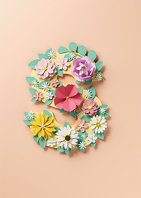 PSD 편집이미지 알파벳 영어 꽃 백그라운드 잎 대문자 타이포그라피 사람없음 3D소스 3D 페이퍼아트 디지털합성 오브젝트 S 살구색 편집소스 편집3D 식물 문자 컬러 파일형식