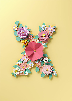 PSD 편집이미지 알파벳 영어 꽃 백그라운드 잎 대문자 타이포그라피 사람없음 노란색 3D소스 3D 금지 페이퍼아트 X 디지털합성 오브젝트 아니오 편집소스 편집3D 식물 문자 컬러 파일형식