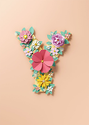 PSD 편집이미지 알파벳 영어 꽃 백그라운드 잎 대문자 타이포그라피 사람없음 3D소스 3D 페이퍼아트 디지털합성 오브젝트 Y 살구색 편집소스 편집3D 식물 문자 컬러 파일형식