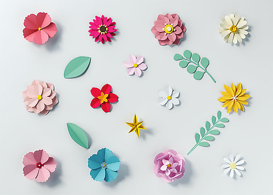 PSD 편집이미지 꽃 백그라운드 잎 사람없음 컬러풀 3D소스 3D 여러개 페이퍼아트 디지털합성 오브젝트 편집소스 편집3D 식물 컬러 다수 파일형식