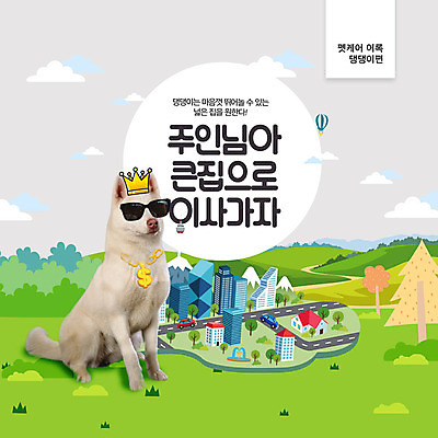 PSD 편집이미지 한마리 왕관 관리 잔디 사람없음 건물 초록색 반려동물 선글라스 이사 강아지 주인 반려 흥미 이미지편집 식물 동물 1 건축물 안경 컬러 컨셉 개 파일형식