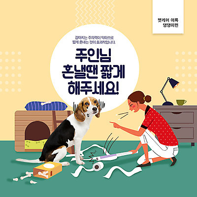 PSD 편집이미지 한마리 여자 교육 관리 한명 사람 초록색 반려동물 주황색 강아지 꾸지람 주인 반려 흥미 엄격한 이미지편집 동물 1 컬러 컨셉 개 체벌 파일형식