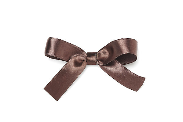 포토 JPG 스튜디오촬영 리본 포장 실내 선물 누끼 사람없음 하이앵글 한개 갈색 축하 끈 오브젝트 흰배경 매듭 플랫레이 국내포토 1 뷰포인트 컬러 백그라운드 컨셉 내부 흰색 플랫 파일형식