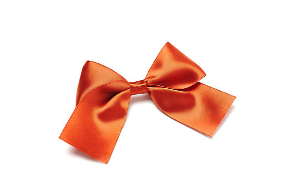 포토 JPG 스튜디오촬영 리본 포장 실내 선물 누끼 사람없음 한개 축하 끈 오브젝트 흰배경 매듭 다홍색 국내포토 1 컬러 백그라운드 컨셉 내부 흰색 파일형식