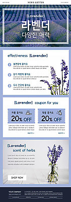 PSD 템플릿 꽃 ZIP 웹템플릿 하늘색 꽃밭 사람없음 허브 쿠폰 뉴스레터 라벤더 이미지템플릿 식물 파란색 파일형식