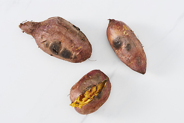 포토 JPG 스튜디오촬영 디저트 실내 누끼 사람없음 하이앵글 뜨거움 세개 달콤 겨울음식 흰배경 겨울간식 군것질 군고구마 플랫레이 제철음식 국내포토 음식 뷰포인트 백그라운드 겨울 3 내부 흰색 플랫 맛 구이 제철 파일형식