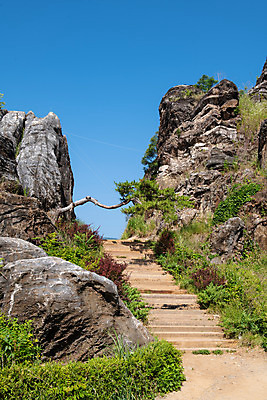 포토 JPG 주간 여행 풍경 사람없음 야외 여름 관광지 계단 기암괴석 명승지 제천 금월봉 제천10경 두꺼비바위 국내포토 자연요소 계절 문화재 바위_돌 산봉우리 충청북도 파일형식