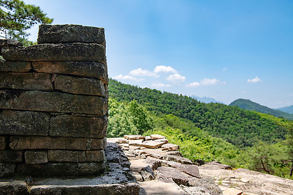 포토 JPG 주간 한국전통 여행 하늘 풍경 사람없음 야외 여름 관광지 문화재 사찰 명승지 제천 제천10경 교리사지 국내포토 자연요소 전통 계절 종교건축 한국 충청북도 석조물 파일형식