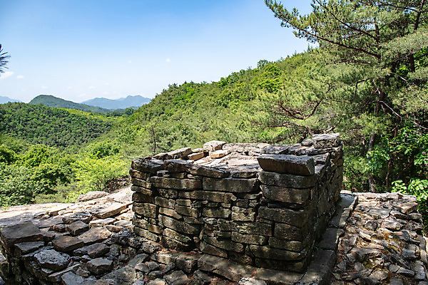 포토 JPG 주간 한국전통 여행 하늘 풍경 사람없음 야외 여름 관광지 문화재 사찰 명승지 제천 제천10경 교리사지 국내포토 자연요소 전통 계절 종교건축 한국 충청북도 석조물 파일형식