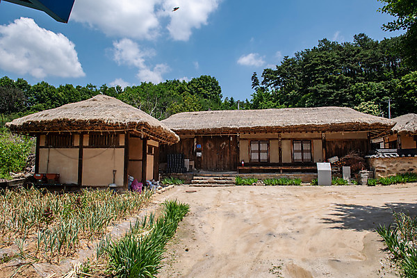 포토 JPG 주간 여행 하늘 초가집 풍경 사람없음 야외 여름 관광지 명승지 제천 제천10경 제천박용원고택 국내포토 자연요소 계절 고건축 한옥 문화재 충청북도 파일형식