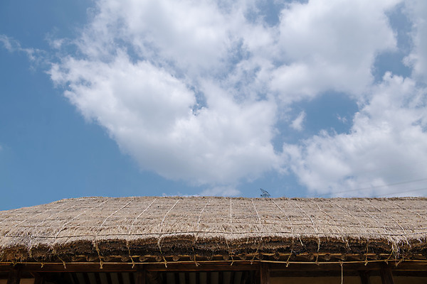 포토 JPG 주간 구름 여행 하늘 지붕 초가집 풍경 사람없음 야외 여름 관광지 명승지 제천 제천10경 제천정원태고택 국내포토 자연요소 계절 고건축 한옥 문화재 충청북도 파일형식