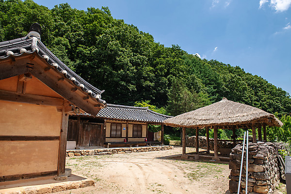 포토 JPG 주간 여행 초가집 풍경 사람없음 야외 여름 관광지 명승지 제천 제천10경 중전리고가 국내포토 자연요소 계절 고건축 한옥 문화재 충청북도 파일형식