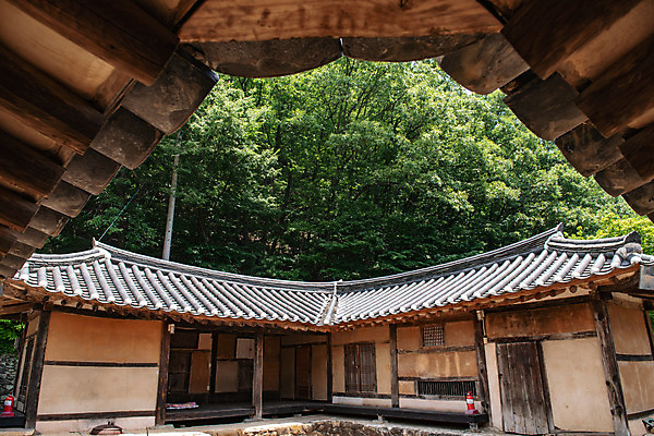 포토 JPG 주간 여행 초가집 풍경 사람없음 야외 여름 관광지 명승지 제천 제천10경 중전리고가 국내포토 자연요소 계절 고건축 한옥 문화재 충청북도 파일형식