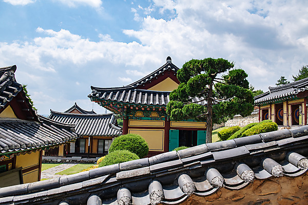 포토 JPG 주간 나무 구름 여행 하늘 풍경 사람없음 야외 여름 관광지 서재 내삼문 동재 명륜당 명승지 제천 기와담장 제천향교 대성전 제천10경 국내포토 자연요소 식물 계절 기와 담장 문화재 성전 전통문 충청북도 향교 파일형식