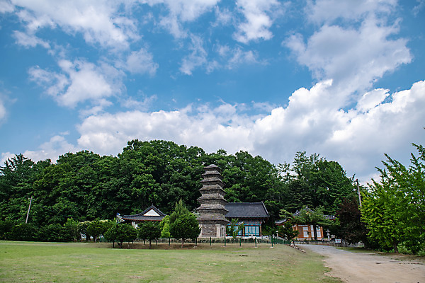 포토 JPG 주간 나무 구름 여행 하늘 풍경 사람없음 야외 여름 관광지 명승지 제천 제천10경 제천장락동칠층모전석탑 국내포토 자연요소 식물 계절 문화재 석탑 충청북도 파일형식
