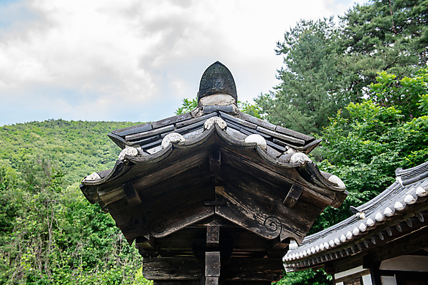 포토 JPG 주간 나무 여행 지붕 풍경 사람없음 야외 여름 관광지 명승지 제천 현판 박약재 제천10경 국내포토 자연요소 식물 계절 문화재 기념물 충청북도 파일형식