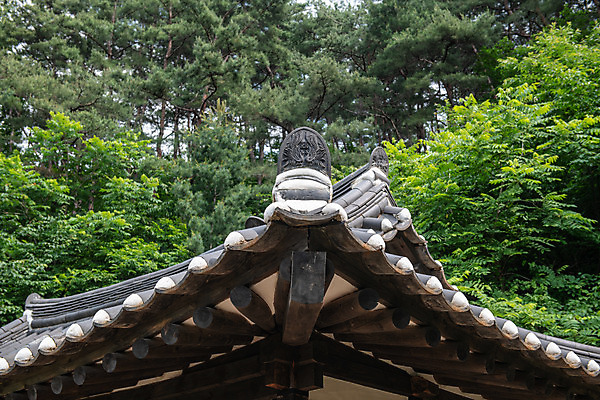 포토 JPG 주간 나무 여행 지붕 풍경 사람없음 야외 여름 관광지 명승지 제천 현판 박약재 제천10경 국내포토 자연요소 식물 계절 문화재 기념물 충청북도 파일형식